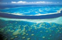 El Niño menace le corail