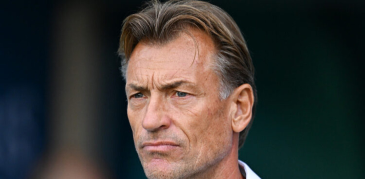 Après les Bleues, Renard de retour en Arabie saoudite Après les Bleues, Renard de retour en Arabie saoudite