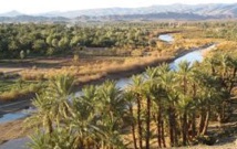 Programme oasis Tafilalet, une expérience à élargir à d'autres régions Programme oasis Tafilalet, une expérience à élargir à d'autres régions