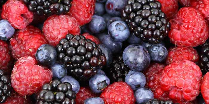 Les professionnels des fruits rouges en conclave à Agadir Les professionnels des fruits rouges en conclave à Agadir