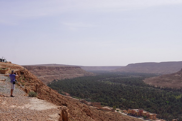 L’oasis d’Ouled Chaker, un éden de la nature et du patrimoine L’oasis d’Ouled Chaker, un éden de la nature et du patrimoine