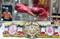 Stallone met aux enchères des souvenirs de ses films Stallone met aux enchères des souvenirs de ses films