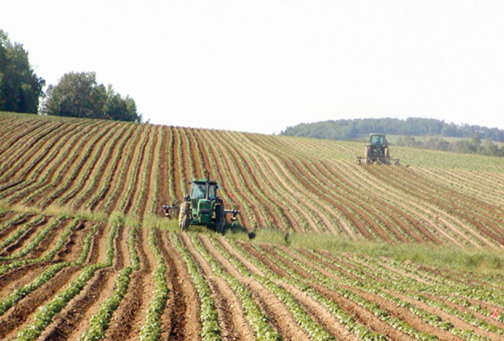 La création du Registre national agricole va bon train