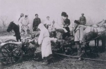 La peste a frappé l’humanité 3.300 ans plus tôt qu’on ne le pensait La peste a frappé l’humanité 3.300 ans plus tôt qu’on ne le pensait