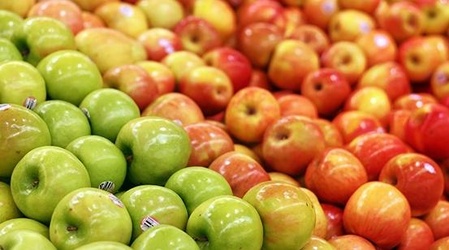 Béni Mellal-Khénifra : Un rendement de plus de 59 mille tonnes de pommes en 2023 Béni Mellal-Khénifra : Un rendement de plus de 59 mille tonnes de pommes en 2023