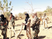 Sept jihadistes tués par l'armée malienne dans le centre du pays Sept jihadistes tués par l'armée malienne dans le centre du pays