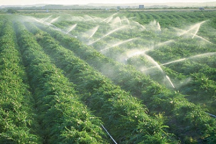 Un nouveau cycle de recensement de l’agriculture mondiale lancé par la FAO