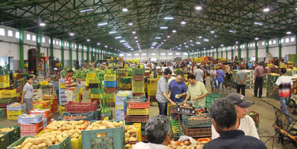 Commerce : 69% des grossistes prévoient une stabilité des ventes au T4-2024 Commerce : 69% des grossistes prévoient une stabilité des ventes au T4-2024