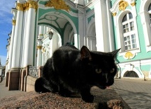 Au musée de l’Ermitage, des chats tiennent compagnie aux chefs-d’œuvre Au musée de l’Ermitage, des chats tiennent compagnie aux chefs-d’œuvre