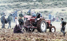 L'UE impose une mention sur les produits des colonies israéliennes L'UE impose une mention sur les produits des colonies israéliennes