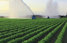 Campagne agricole 2024-2025 : Un démarrage prometteur pour un secteur en quête d'un nouveau souffle Campagne agricole 2024-2025 : Un démarrage prometteur pour un secteur en quête d'un nouveau souffle