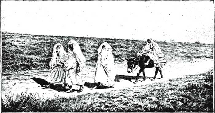 Paysannes non voilées, des environs de Mazagan (Dessin de J. Lavée) Paysannes non voilées, des environs de Mazagan (Dessin de J. Lavée)