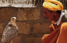 Le Maroc, seul pays africain et maghrébin présent à une exposition sur “L'art de la fauconnerie” à Lisbonne Le Maroc, seul pays africain et maghrébin présent à une exposition sur “L'art de la fauconnerie” à Lisbonne
