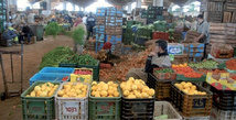 Marché de gros des fruits et légumes de Casablanca : Résultats record de 1,6 million de tonnes de marchandises et 177 MDH de recettes en 2024 Marché de gros des fruits et légumes de Casablanca : Résultats record de 1,6 million de tonnes de marchandises et 177 MDH de recettes en 2024