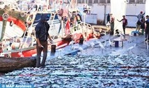 Port de Sidi Ifni : Les débarquements de la pêche côtière et artisanale augmentent de 3% en 2024 Port de Sidi Ifni : Les débarquements de la pêche côtière et artisanale augmentent de 3% en 2024