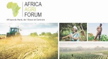 La 2ème édition d’Africa Agri Forum à Abidjan La 2ème édition d’Africa Agri Forum à Abidjan