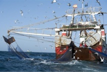 La justice européenne tombe dans les filets de l’incongruité La justice européenne tombe dans les filets de l’incongruité