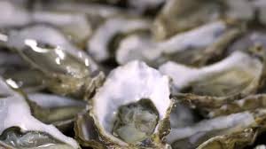 Jamâa Ouled Ghanem-Dar Lhamra: Levée de l'interdiction sur le ramassage et la commercialisation des huîtres collectées Jamâa Ouled Ghanem-Dar Lhamra: Levée de l'interdiction sur le ramassage et la commercialisation des huîtres collectées