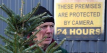 Insolite : Chasse aux voleurs de sapins