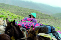 Une coalition d'associations plaide pour l'amélioration des conditions de vie des montagnards Une coalition d'associations plaide pour l'amélioration des conditions de vie des montagnards