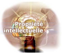 Naissance de la Coalition marocaine pour la propriété intellectuelle Naissance de la Coalition marocaine pour la propriété intellectuelle