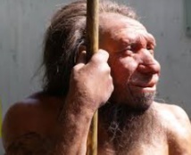 Les allergies proviendraient de gènes hérités de l'homme de Néandertal