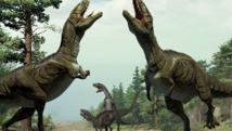 Insolite : Des dinosaures dragueurs Insolite : Des dinosaures dragueurs