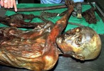 Les bactéries de l'estomac d'Otzi permettent de retracer les migrations en Europe