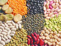 Les légumineuses, une culture indispensable pour les communautés vulnérables Les légumineuses, une culture indispensable pour les communautés vulnérables