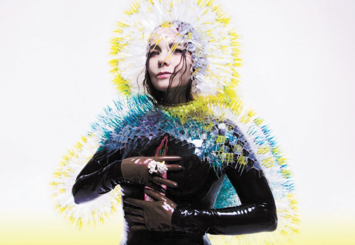 Scandales de stars à l'aéroport :  Bjork, janvier 2008
