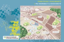 Inspections régionales de l’urbanisme et de l’aménagement du territoire