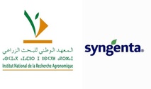 Productivité agricole : L’INRA et Syngenta présentent les résultats des essais menés dans le cadre de leur partenariat 2021-2024 Productivité agricole : L’INRA et Syngenta présentent les résultats des essais menés dans le cadre de leur partenariat 2021-2024