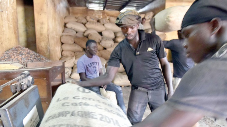 Côte d’Ivoire : Une croissance économique sans création d’emplois Côte d’Ivoire : Une croissance économique sans création d’emplois