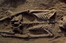 Un "massacre de masse", il y a 10.000 ans déjà