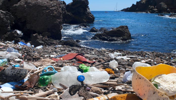 Le coût réel de la pollution des océans par les plastiques Le coût réel de la pollution des océans par les plastiques