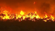 Feux de forêt en Australie