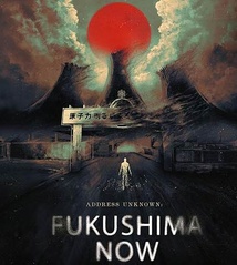 Le GP du 23ème FICAM remporté par "Adress Unknown: Fukushima Now"