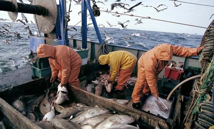 Port de Dakhla: Baisse de 36% des débarquements de pêche à fin avril