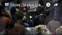 Insolite