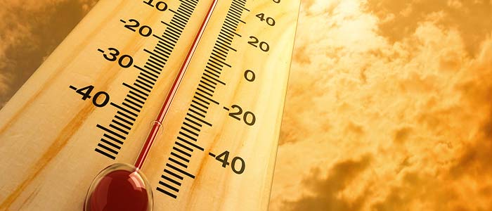 Canicule précoce Canicule précoce