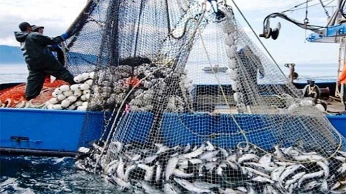 Port de Laâyoune: Baisse de 28% des débarquements de pêche à fin avril Port de Laâyoune: Baisse de 28% des débarquements de pêche à fin avril