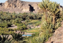 Les oasis du sud-est à l'épreuve des défis climatiques