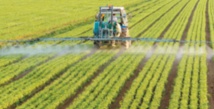 Lancement officiel à Settat du recensement général de l'agriculture