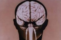 Les mystères de la formation des plis et replis de notre cerveau s'éclaircissent Les mystères de la formation des plis et replis de notre cerveau s'éclaircissent