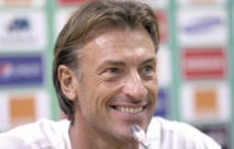 Renard moins coûteux que Zaki Renard moins coûteux que Zaki