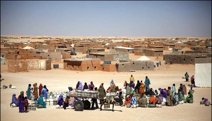 L’OMDH exhorte le HCR à recenser les habitants des camps de Tindouf et à garantir leurs droits fondamentaux L’OMDH exhorte le HCR à recenser les habitants des camps de Tindouf et à garantir leurs droits fondamentaux