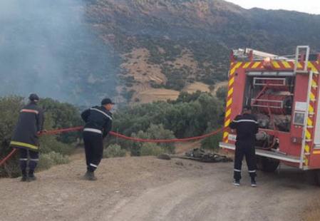 ANEF: Tous les incendies enregistrés ont été maîtrisés ANEF: Tous les incendies enregistrés ont été maîtrisés