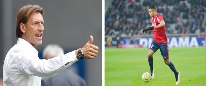 Renard débarque avec Boufal dans ses bagages Renard débarque avec Boufal dans ses bagages