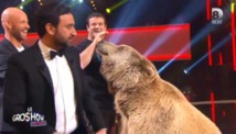 Un ours effraie Gad Elmaleh et Cyril Hanouna dans “Le Gros Show”