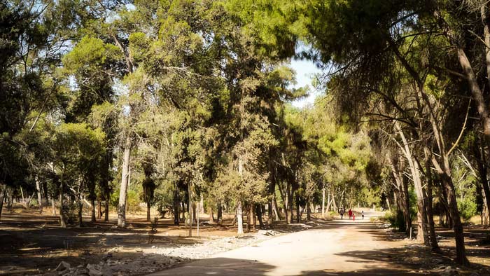La DGSN accorde une importance particulière aux efforts de lutte contre les crimes portant atteinte au patrimoine forestier La DGSN accorde une importance particulière aux efforts de lutte contre les crimes portant atteinte au patrimoine forestier
